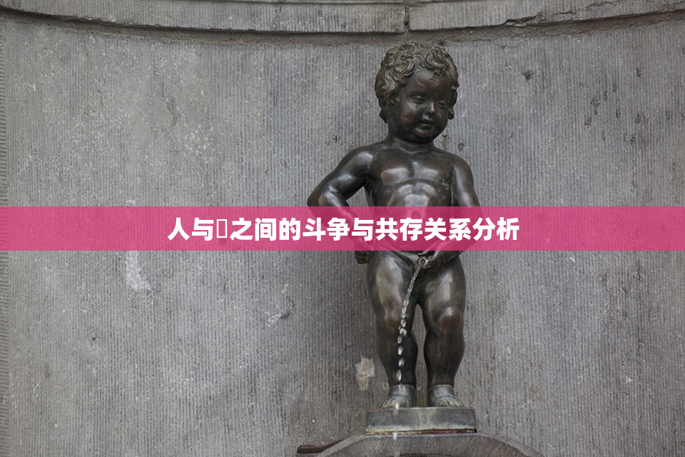 人与嘼之间的斗争与共存关系分析