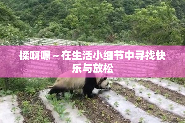 揉啊嗯～在生活小细节中寻找快乐与放松