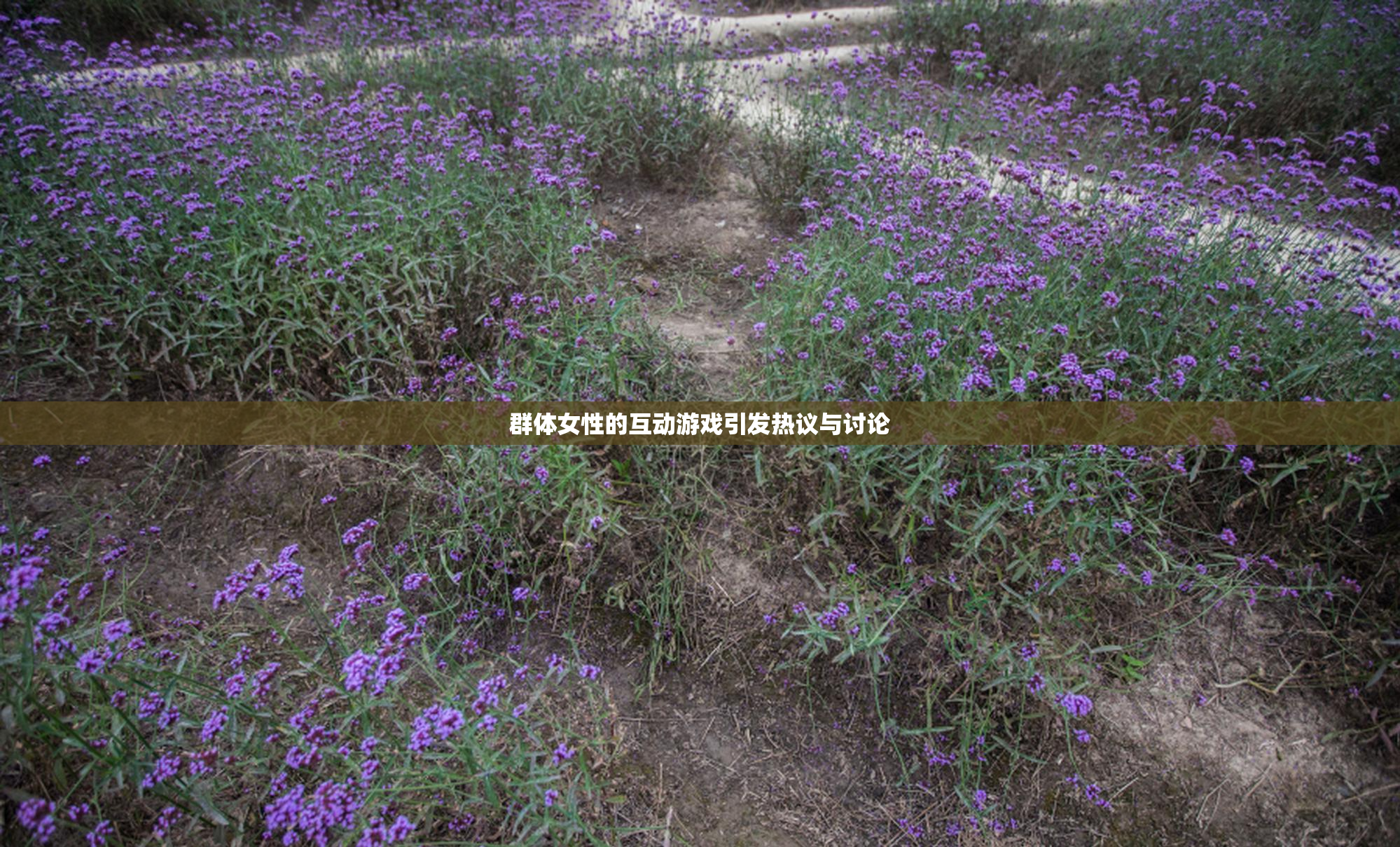 群体女性的互动游戏引发热议与讨论