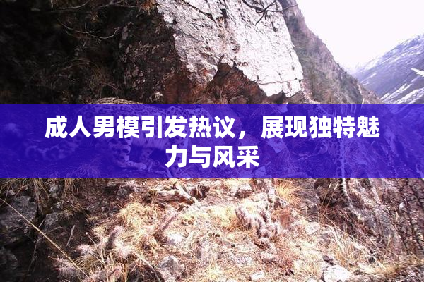 成人男模引发热议，展现独特魅力与风采
