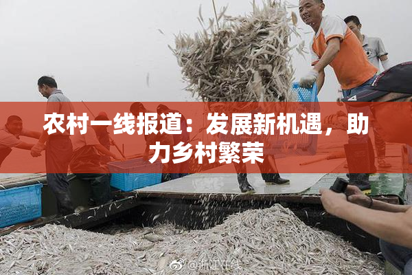 农村一线报道：发展新机遇，助力乡村繁荣