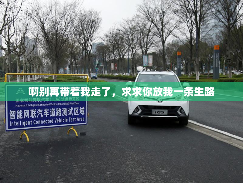 啊别再带着我走了，求求你放我一条生路