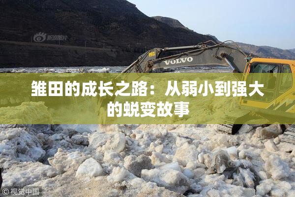 雏田的成长之路：从弱小到强大的蜕变故事