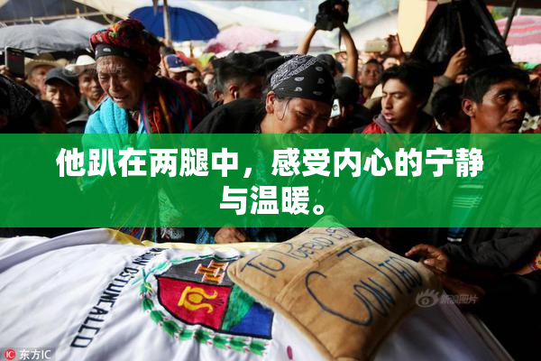 他趴在两腿中，感受内心的宁静与温暖。