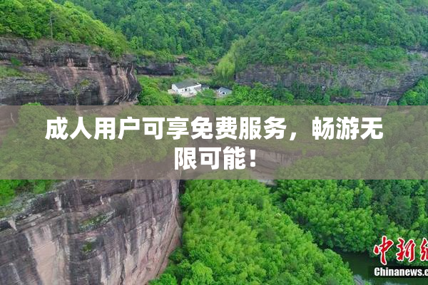 成人用户可享免费服务，畅游无限可能！
