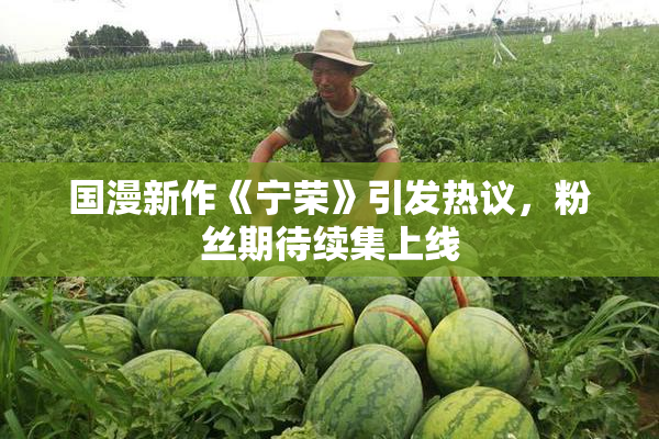 国漫新作《宁荣》引发热议，粉丝期待续集上线