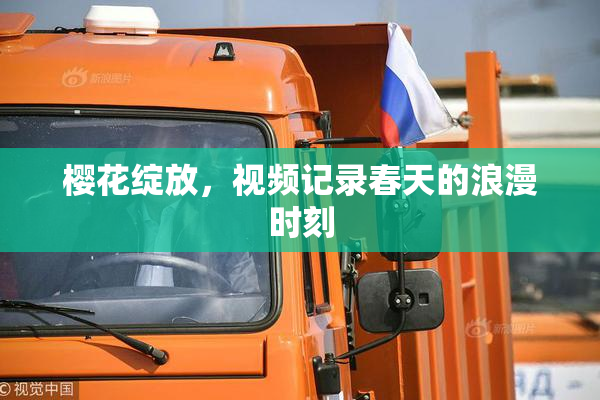 樱花绽放，视频记录春天的浪漫时刻