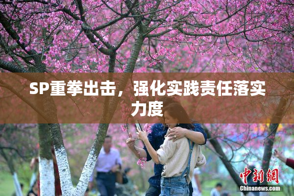 SP重拳出击，强化实践责任落实力度