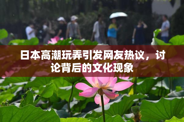 日本高潮玩弄引发网友热议，讨论背后的文化现象