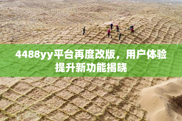 4488yy平台再度改版，用户体验提升新功能揭晓