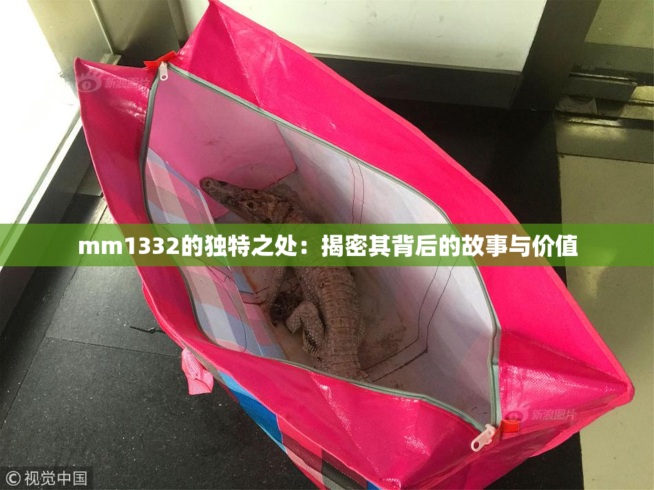 mm1332的独特之处：揭密其背后的故事与价值