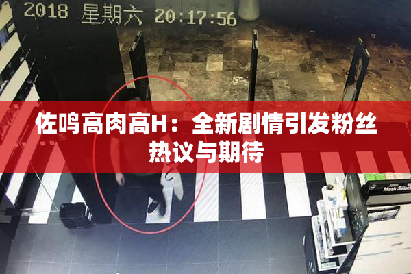佐鸣高肉高H：全新剧情引发粉丝热议与期待
