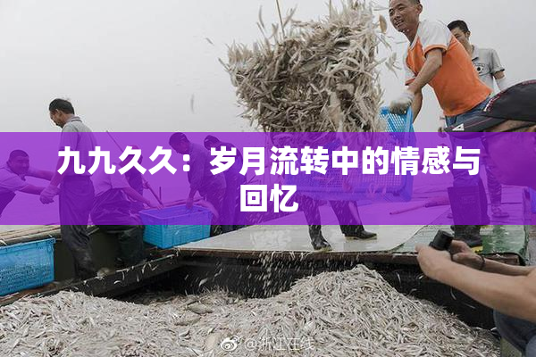 九九久久：岁月流转中的情感与回忆