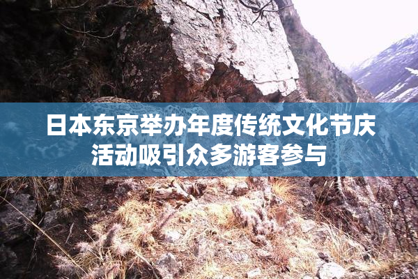 日本东京举办年度传统文化节庆活动吸引众多游客参与
