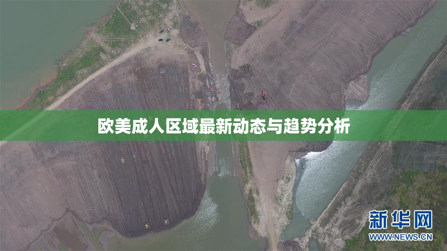 欧美成人区域最新动态与趋势分析