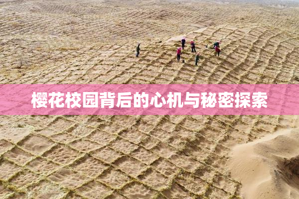 樱花校园背后的心机与秘密探索