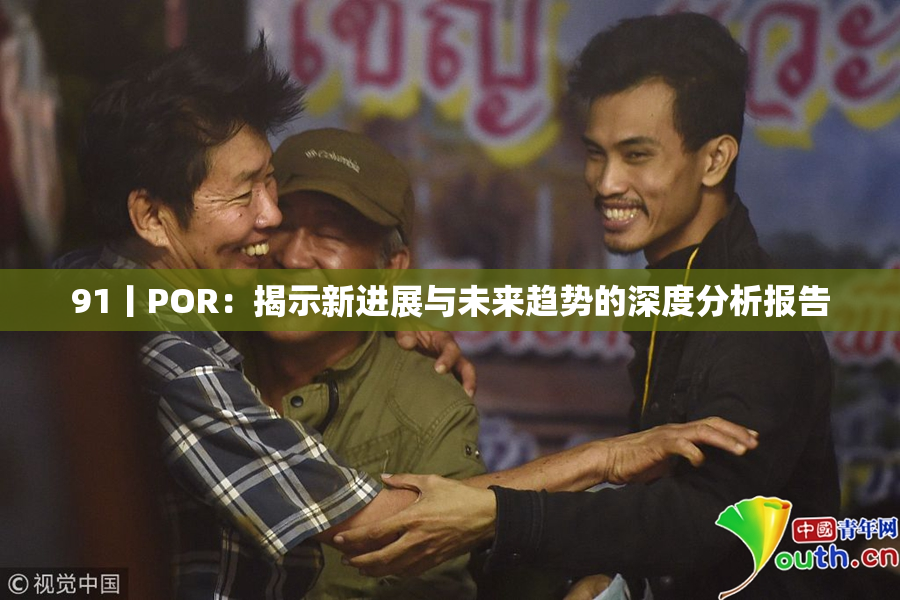 91丨POR：揭示新进展与未来趋势的深度分析报告