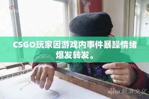 CSGO玩家因游戏内事件暴躁情绪爆发转发。