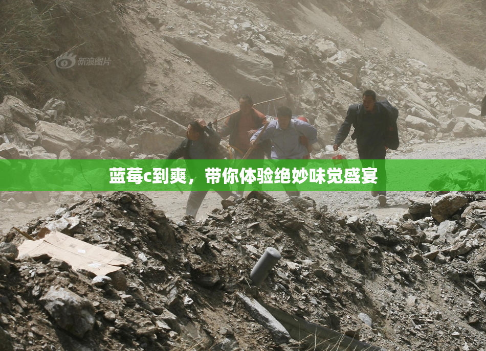 蓝莓c到爽，带你体验绝妙味觉盛宴