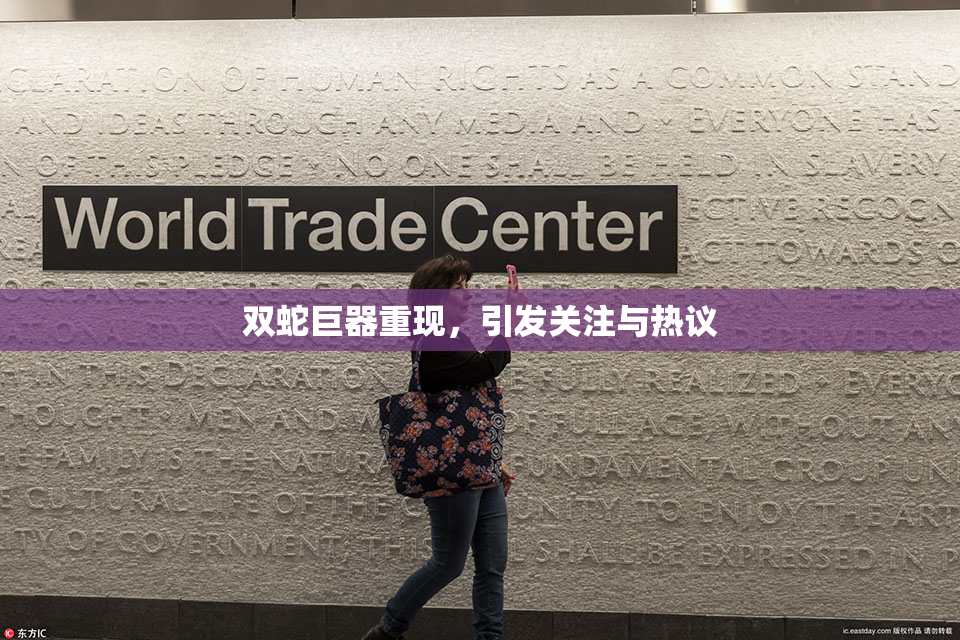 双蛇巨器重现，引发关注与热议