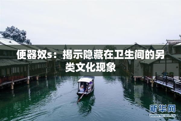 便器奴s：揭示隐藏在卫生间的另类文化现象