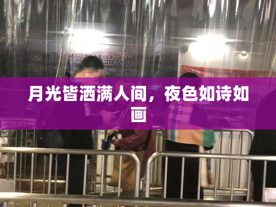 月光皆洒满人间，夜色如诗如画