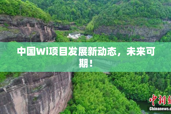 中国Wi项目发展新动态，未来可期！