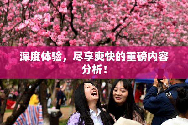 深度体验，尽享爽快的重磅内容分析！