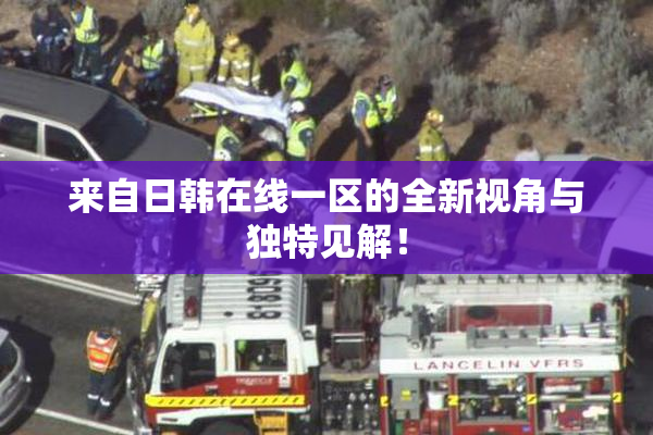 来自日韩在线一区的全新视角与独特见解！