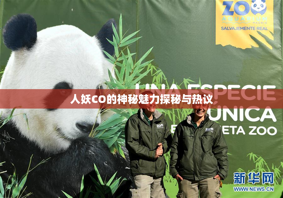 人妖CO的神秘魅力探秘与热议