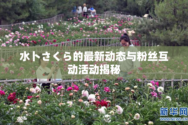 水卜さくら的最新动态与粉丝互动活动揭秘