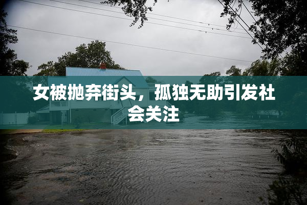 女被抛弃街头，孤独无助引发社会关注