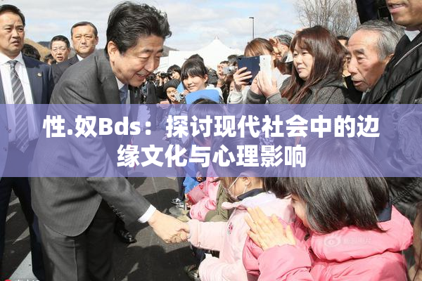 性.奴Bds：探讨现代社会中的边缘文化与心理影响