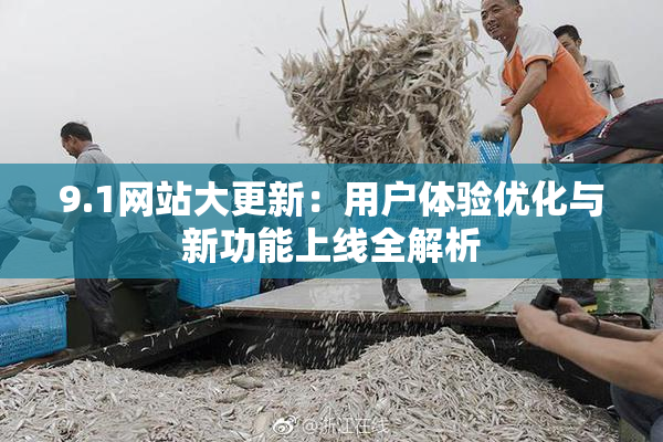 9.1网站大更新：用户体验优化与新功能上线全解析