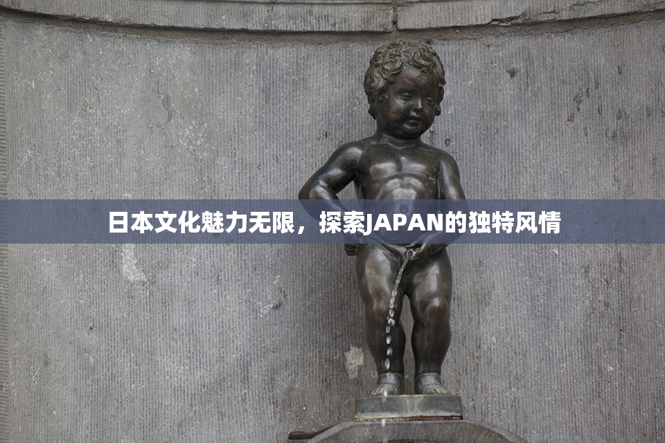 日本文化魅力无限，探索JAPAN的独特风情