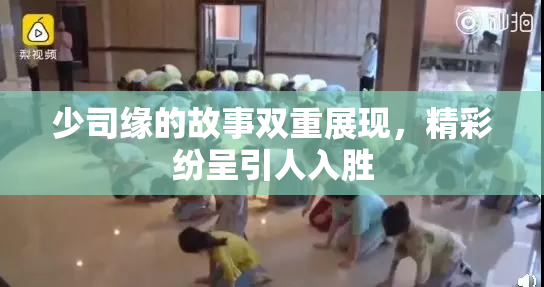 少司缘的故事双重展现，精彩纷呈引人入胜