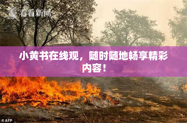 小黄书在线观，随时随地畅享精彩内容！