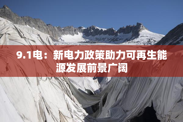 9.1电：新电力政策助力可再生能源发展前景广阔