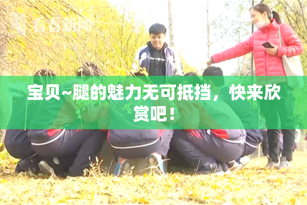 宝贝~腿的魅力无可抵挡，快来欣赏吧！