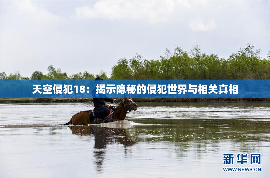天空侵犯18：揭示隐秘的侵犯世界与相关真相