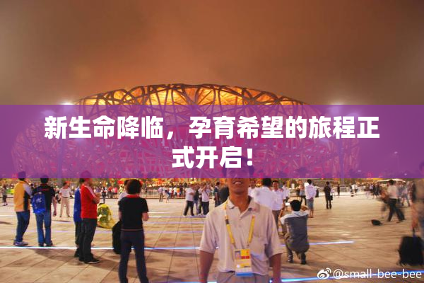 新生命降临，孕育希望的旅程正式开启！