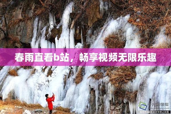 春雨直看b站，畅享视频无限乐趣