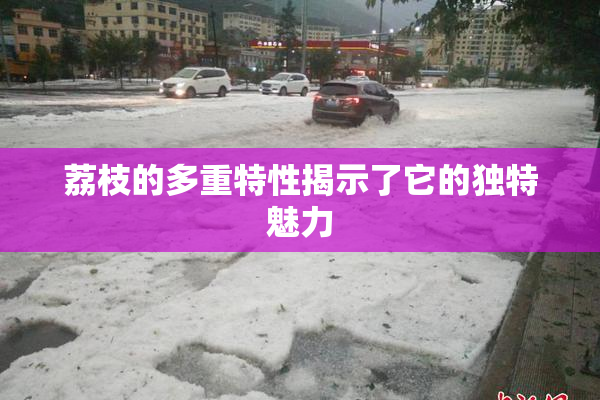 荔枝的多重特性揭示了它的独特魅力