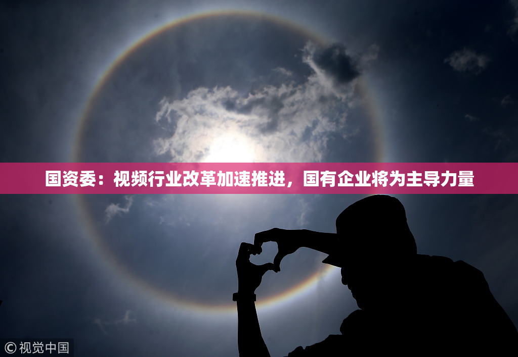 国资委：视频行业改革加速推进，国有企业将为主导力量