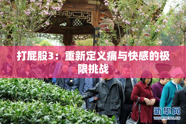 打屁股3：重新定义痛与快感的极限挑战
