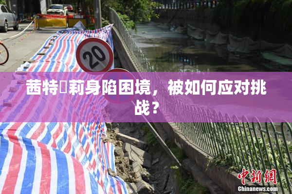 茜特菈莉身陷困境，被如何应对挑战？