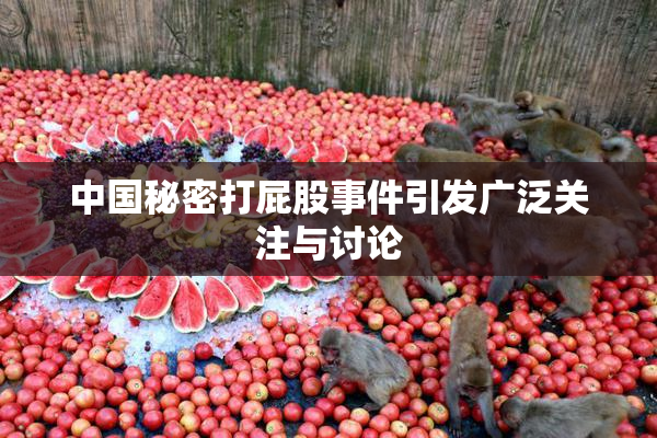 中国秘密打屁股事件引发广泛关注与讨论