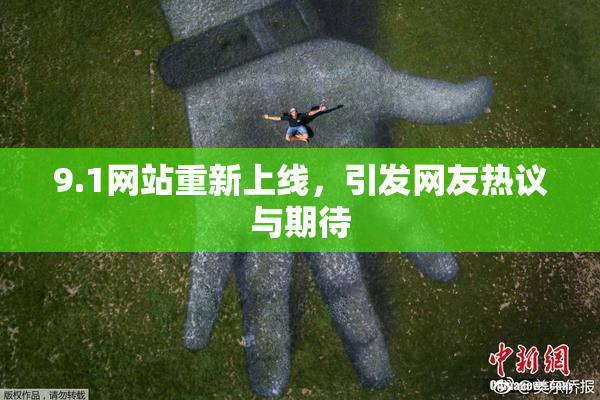 9.1网站重新上线，引发网友热议与期待