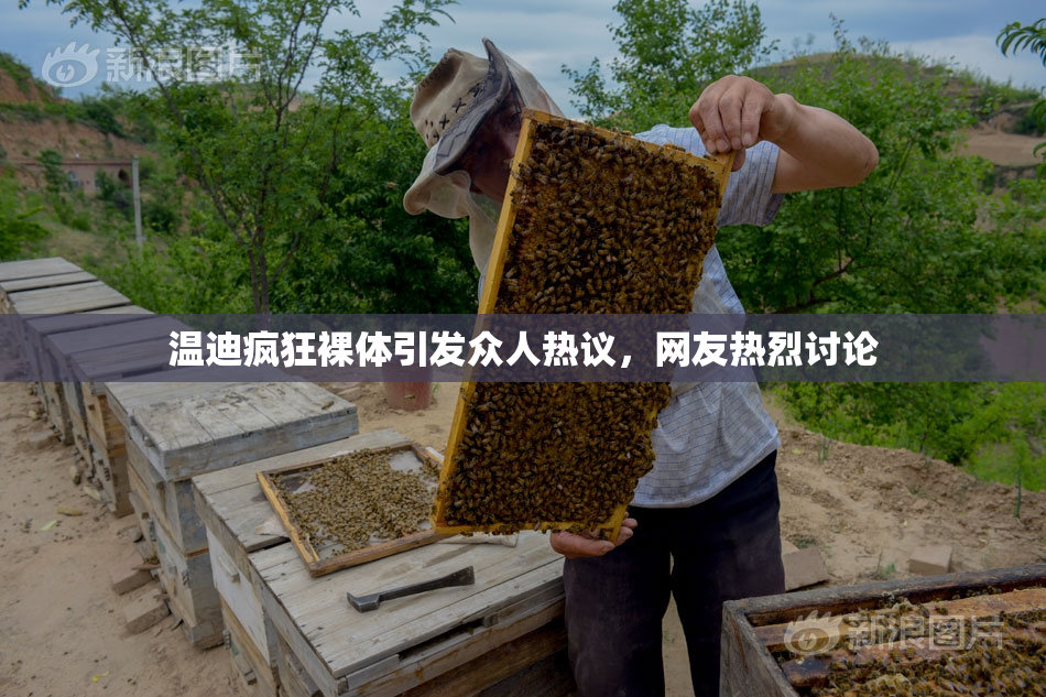 温迪疯狂裸体引发众人热议，网友热烈讨论