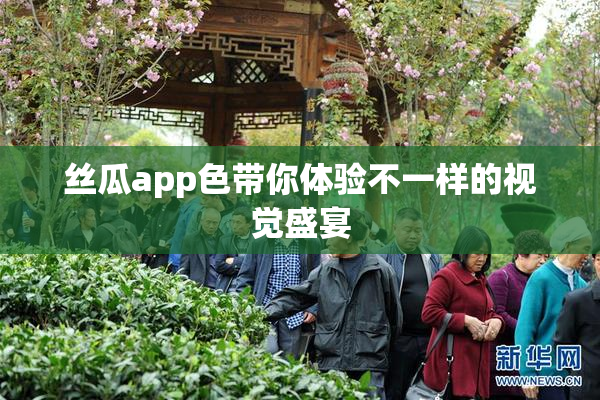 丝瓜app色带你体验不一样的视觉盛宴